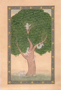 Mango Tree with Monkeys b002     