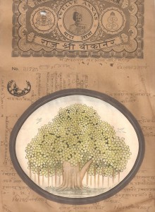 Banyan Tree Oval c002