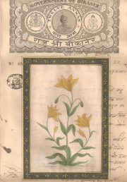 Mugal Flowers on old paper d016