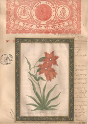 Mugal Flowers on old paper d017