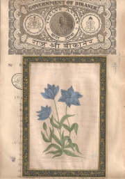 Mugal Flowers on old paper d018