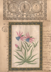 Mugal Flowers on old paper d020
