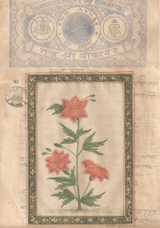 Mugal Flowers on old paper d025