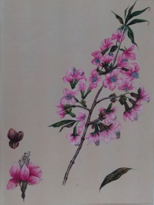 English Botanical Flower e007 