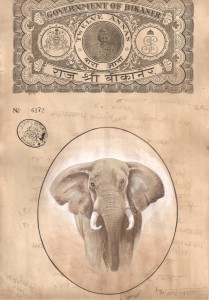 Elephant j001