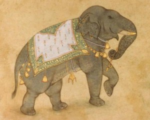 Elephant j009