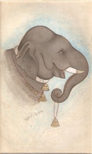 Elephant j011