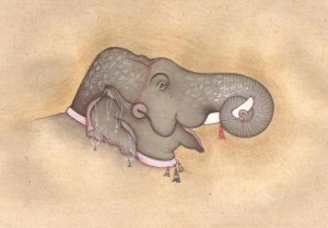 Elephant j012